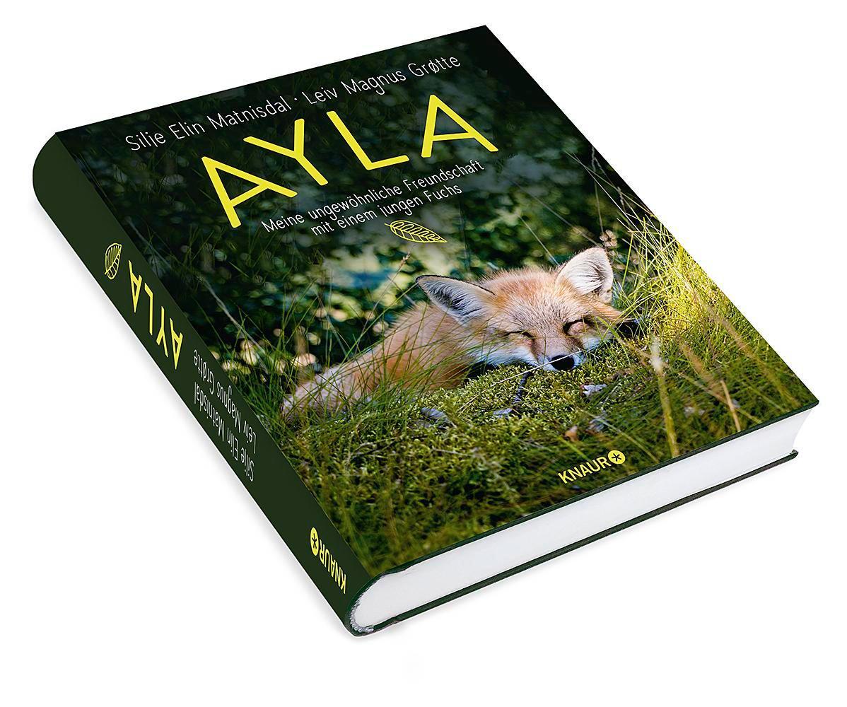 Bild: 9783426214527 | Ayla - meine ungewöhnliche Freundschaft mit einem jungen Fuchs | Buch