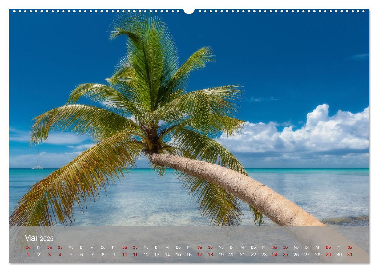 Bild: 9783435022137 | Karibik Traum Isla Saona (Wandkalender 2025 DIN A2 quer), CALVENDO...