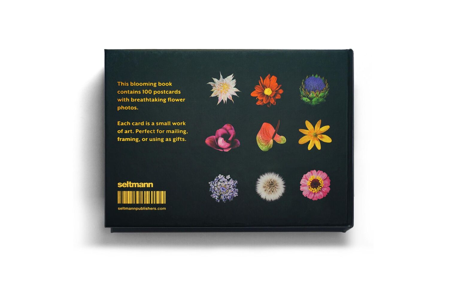 Bild: 9783949070136 | The Blooming Book | Flamboyant Flowers - 100 atemberaubende Blumen