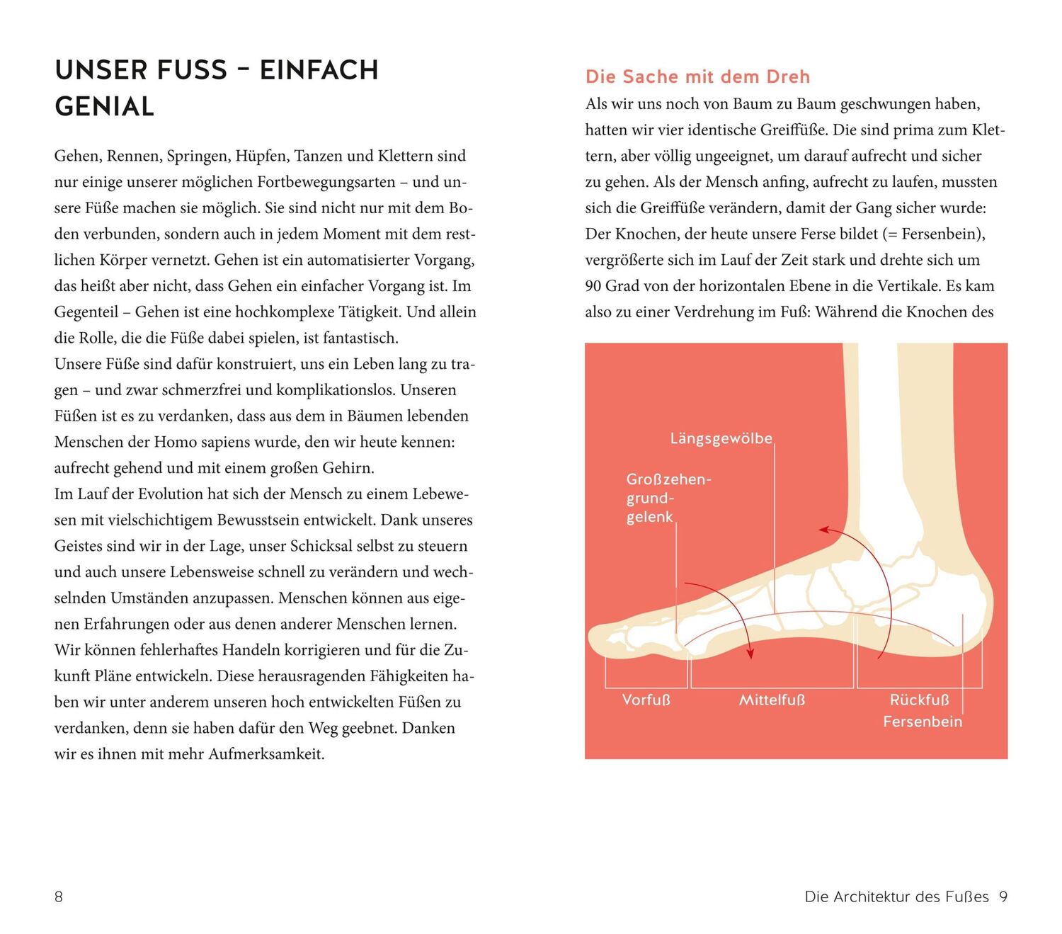 Bild: 9783833877483 | Füße to go | Fußübungen für den Alltag, zu Hause und unterwegs | Buch