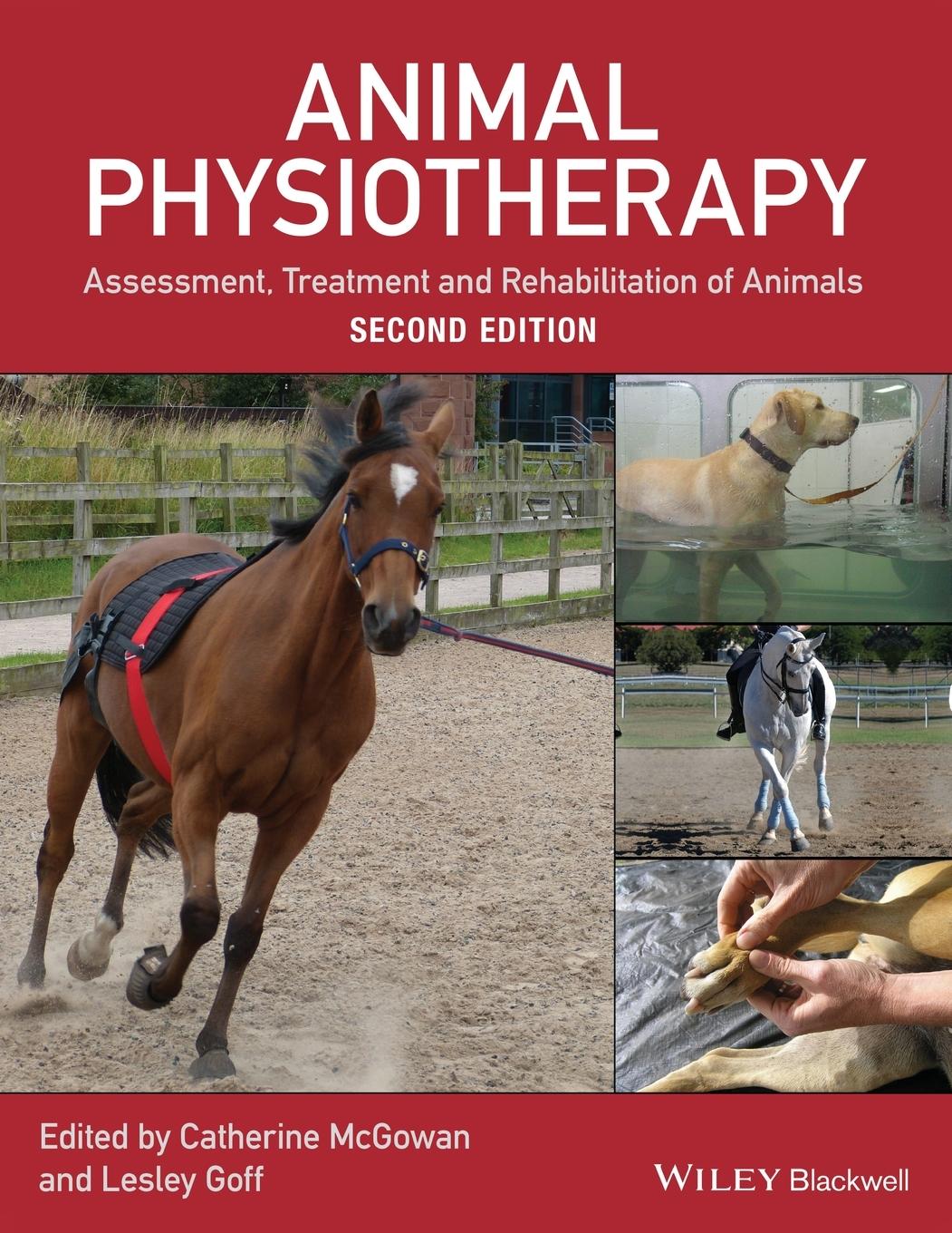 Cover: 9781118852323 | Animal Physiotherapy | Catherine Mcgowan (u. a.) | Taschenbuch | 2016