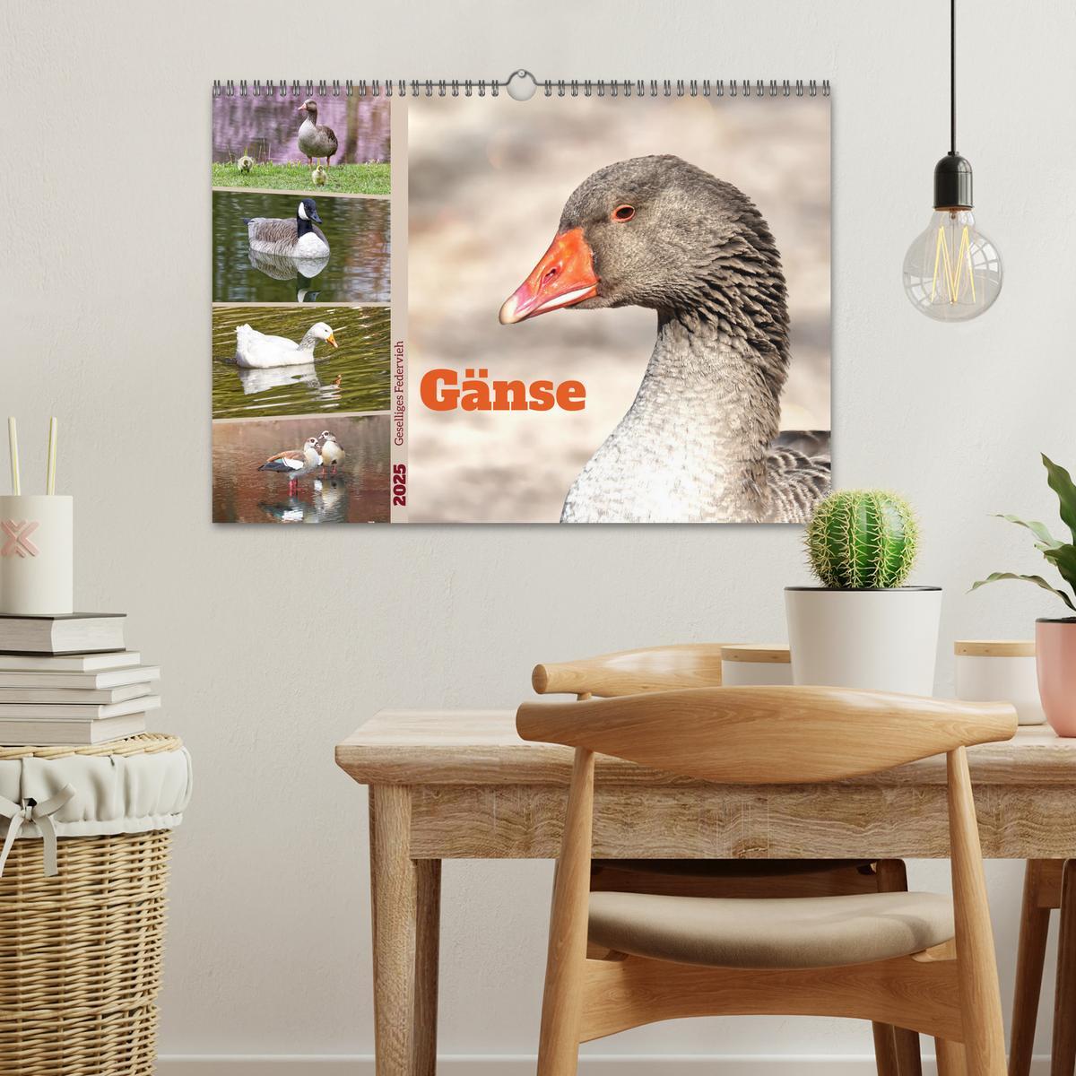 Bild: 9783383977046 | Gänse, geselliges Federvieh (Wandkalender 2025 DIN A3 quer),...