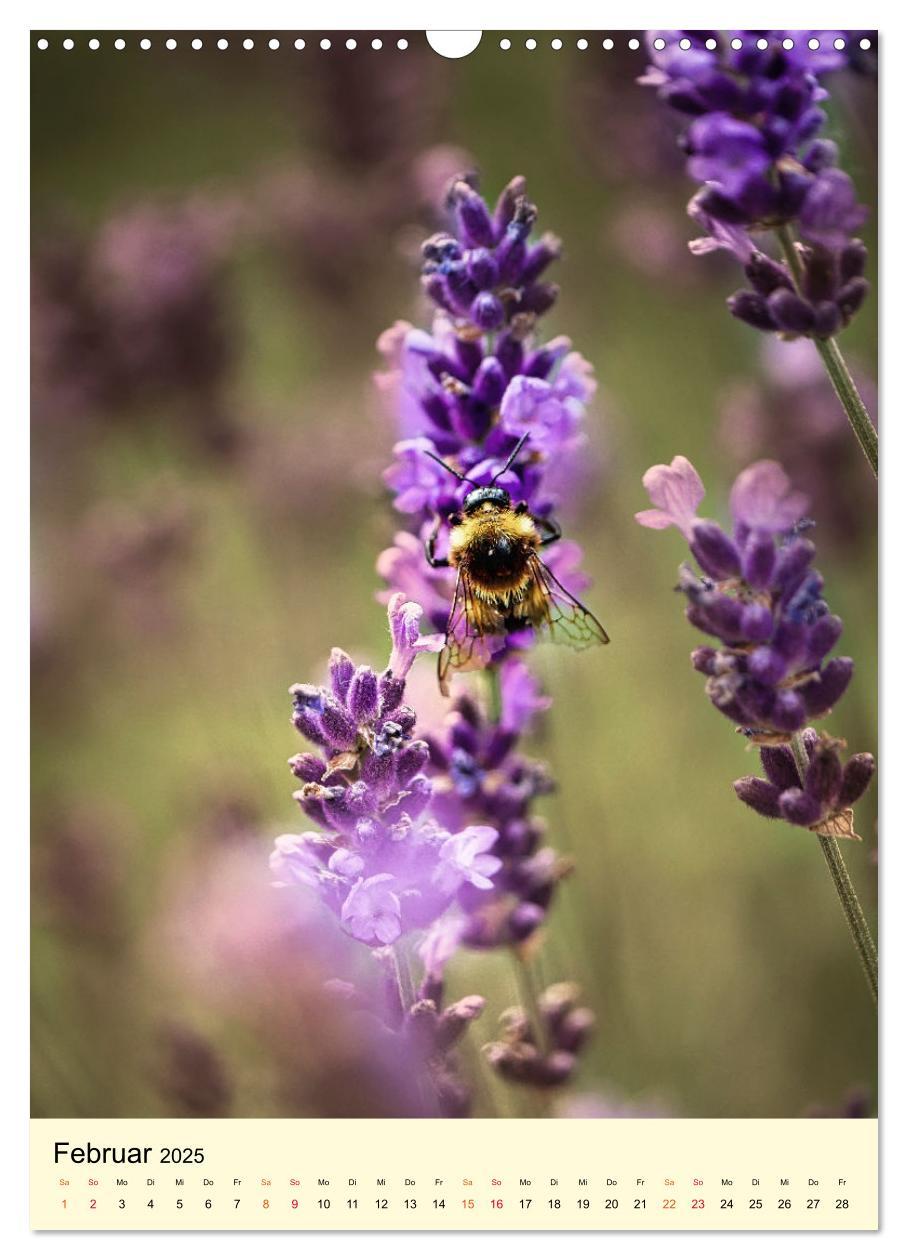 Bild: 9783435901814 | Provence Lavendel Paradies (Wandkalender 2025 DIN A3 hoch),...