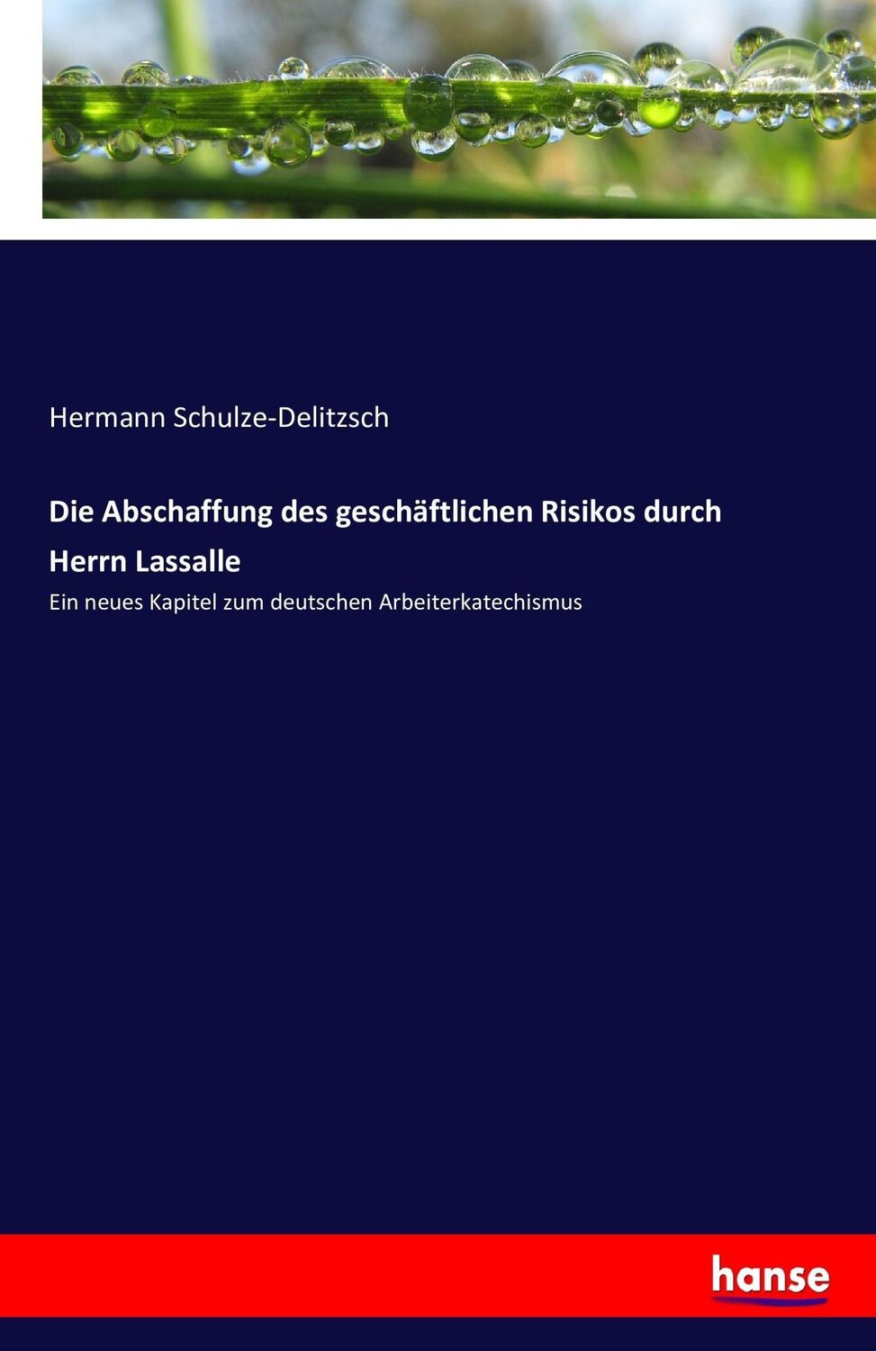 Cover: 9783743453685 | Die Abschaffung des geschäftlichen Risikos durch Herrn Lassalle | Buch