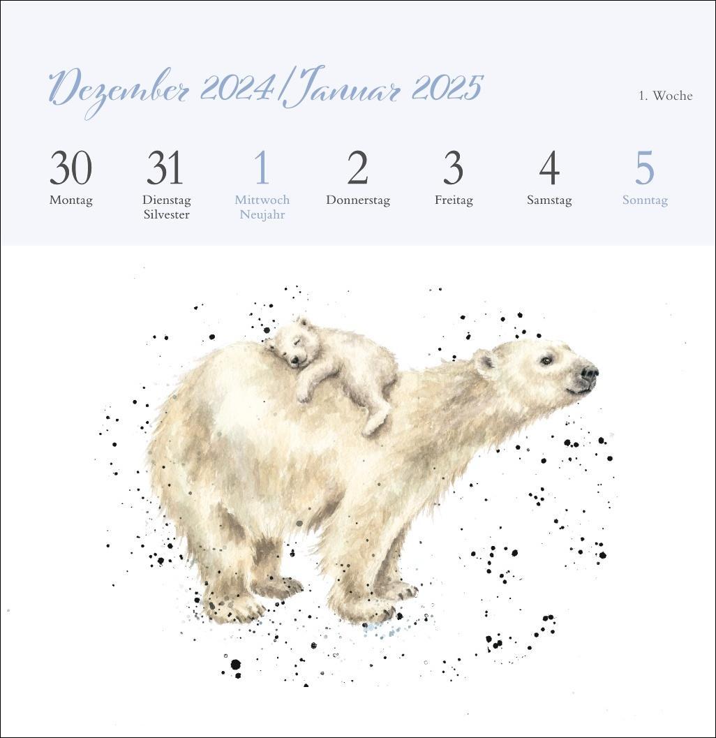 Bild: 9783756408641 | Hannah Dale: Happy Animals Premium-Postkartenkalender 2025 | Kalender