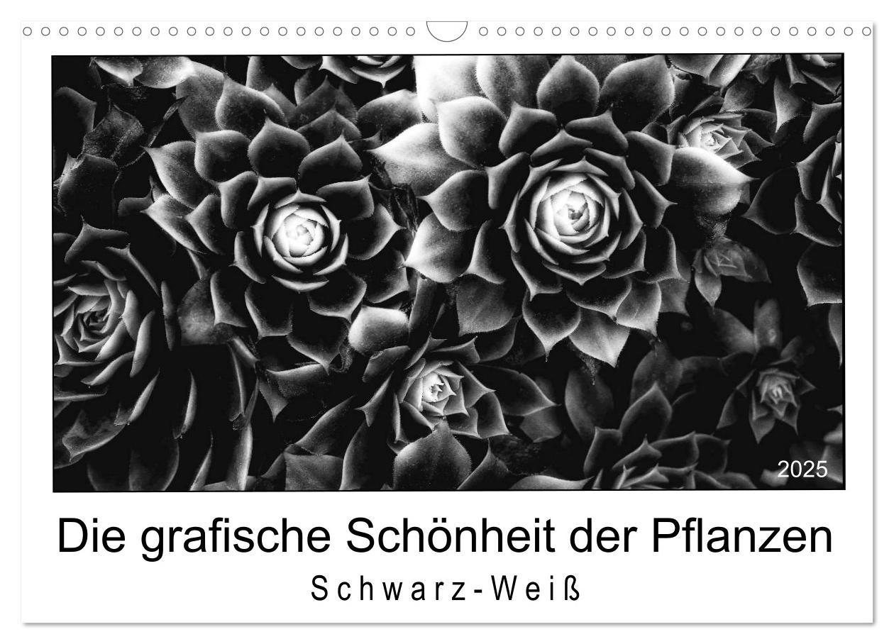 Cover: 9783435440559 | Die grafische Schönheit der Pflanzen ¿ Schwarz-Weiß (Wandkalender...