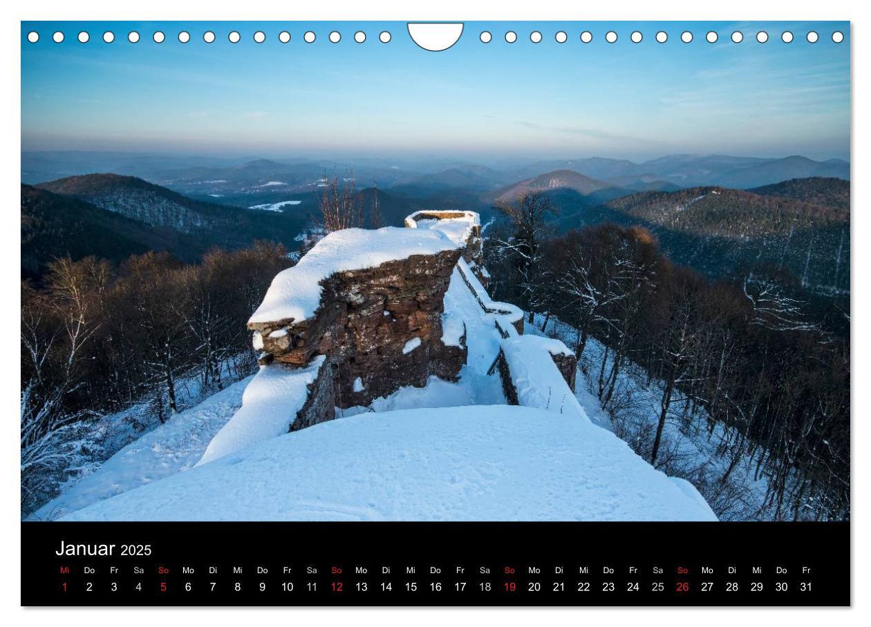 Bild: 9783435592883 | Mystischer Pfälzer Wald (Wandkalender 2025 DIN A4 quer), CALVENDO...