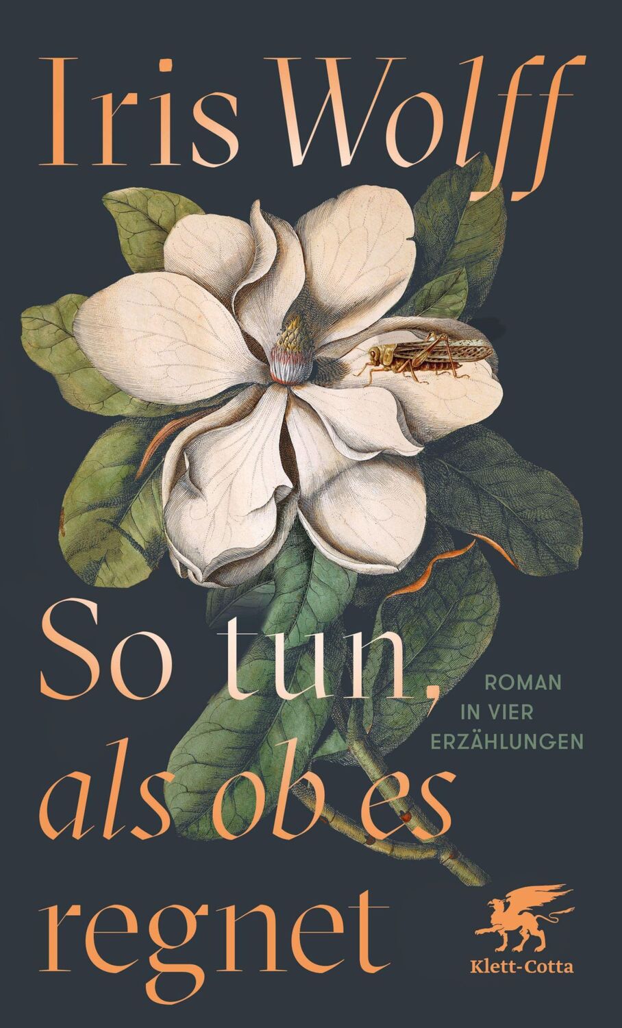 Cover: 9783608984910 | So tun, als ob es regnet | Roman in vier Erzählungen | Iris Wolff