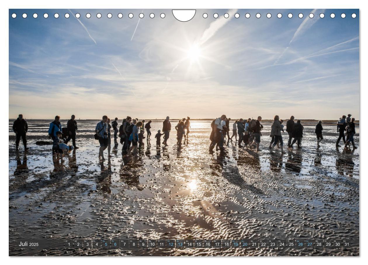 Bild: 9783383994944 | Moin Spiekeroog (Wandkalender 2025 DIN A4 quer), CALVENDO...