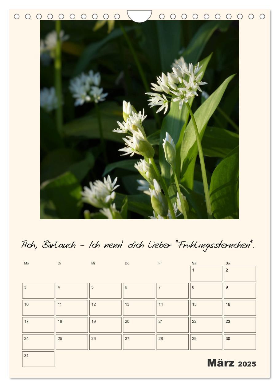 Bild: 9783435999583 | Gartengeschichten (Wandkalender 2025 DIN A4 hoch), CALVENDO...