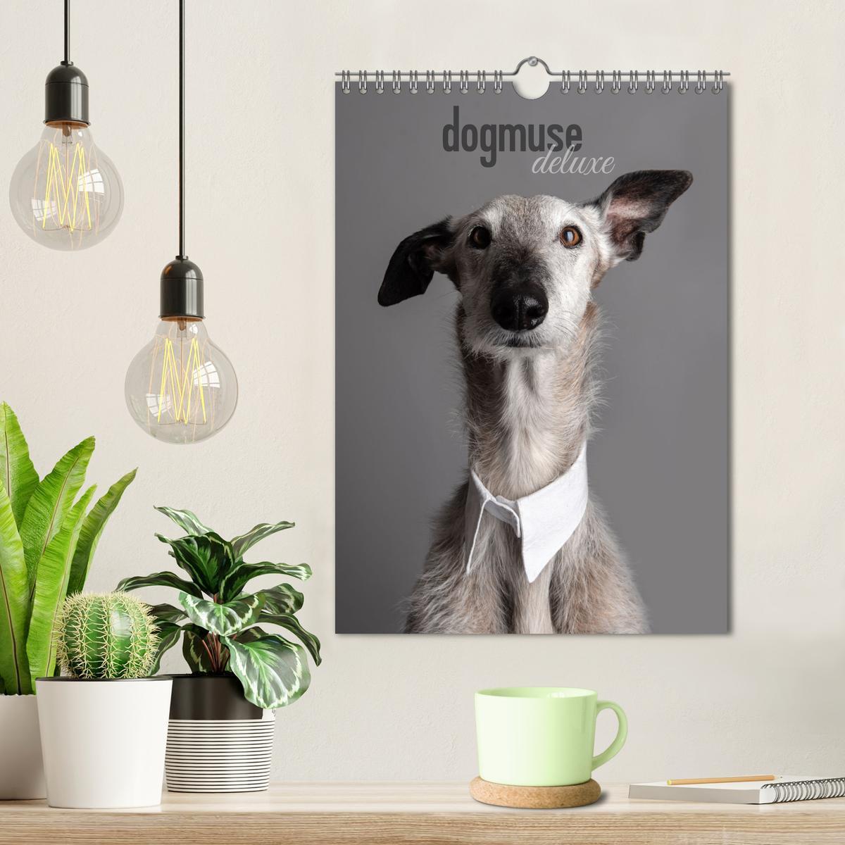 Bild: 9783457230862 | dogmuse deluxe (Wandkalender 2025 DIN A4 hoch), CALVENDO...