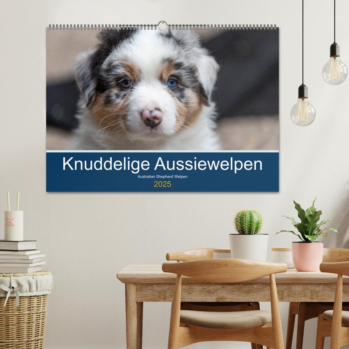 Bild: 9783435150748 | Australian Shepherd Welpen 2025 (Wandkalender 2025 DIN A2 quer),...