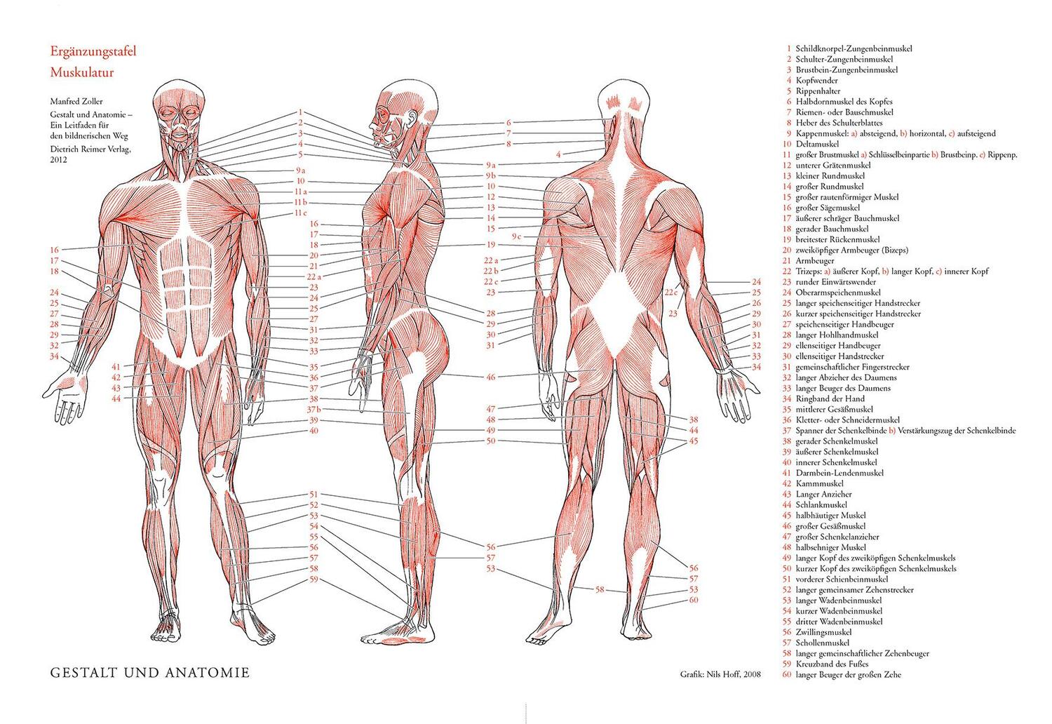 Bild: 9783968490526 | Gestalt und Anatomie | Ein Leitfaden für den bildnerischen Weg | Buch