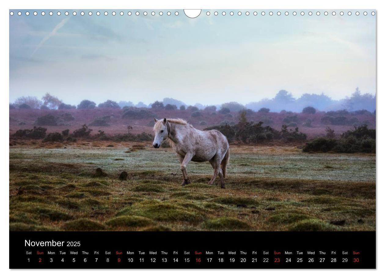 Bild: 9781325951734 | New Forest Hampshire (Wall Calendar 2025 DIN A3 landscape),...