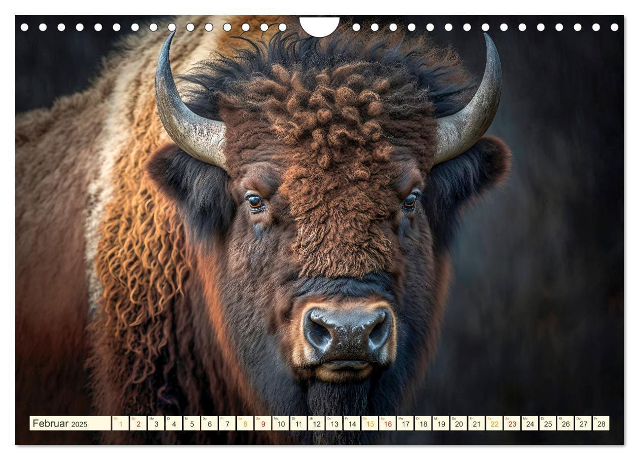 Bild: 9783383912092 | Amerikanischer Bison (Wandkalender 2025 DIN A4 quer), CALVENDO...