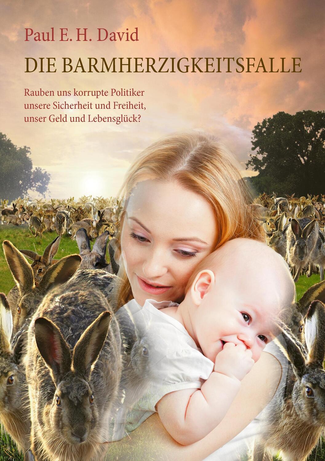 Cover: 9783741214165 | Die Barmherzigkeitsfalle | Paul E. H. David | Taschenbuch