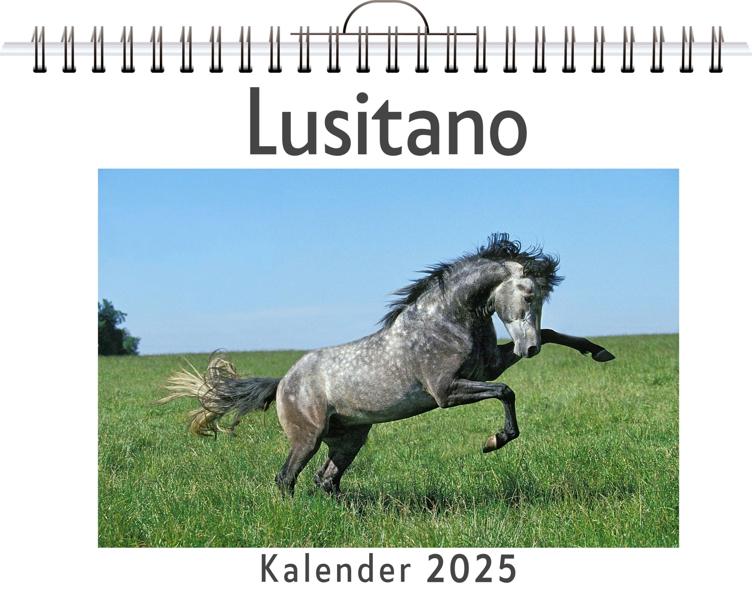 Cover: 9783759120359 | Lusitano | Paul Richter | Kalender | Kalender | 14 S. | Deutsch