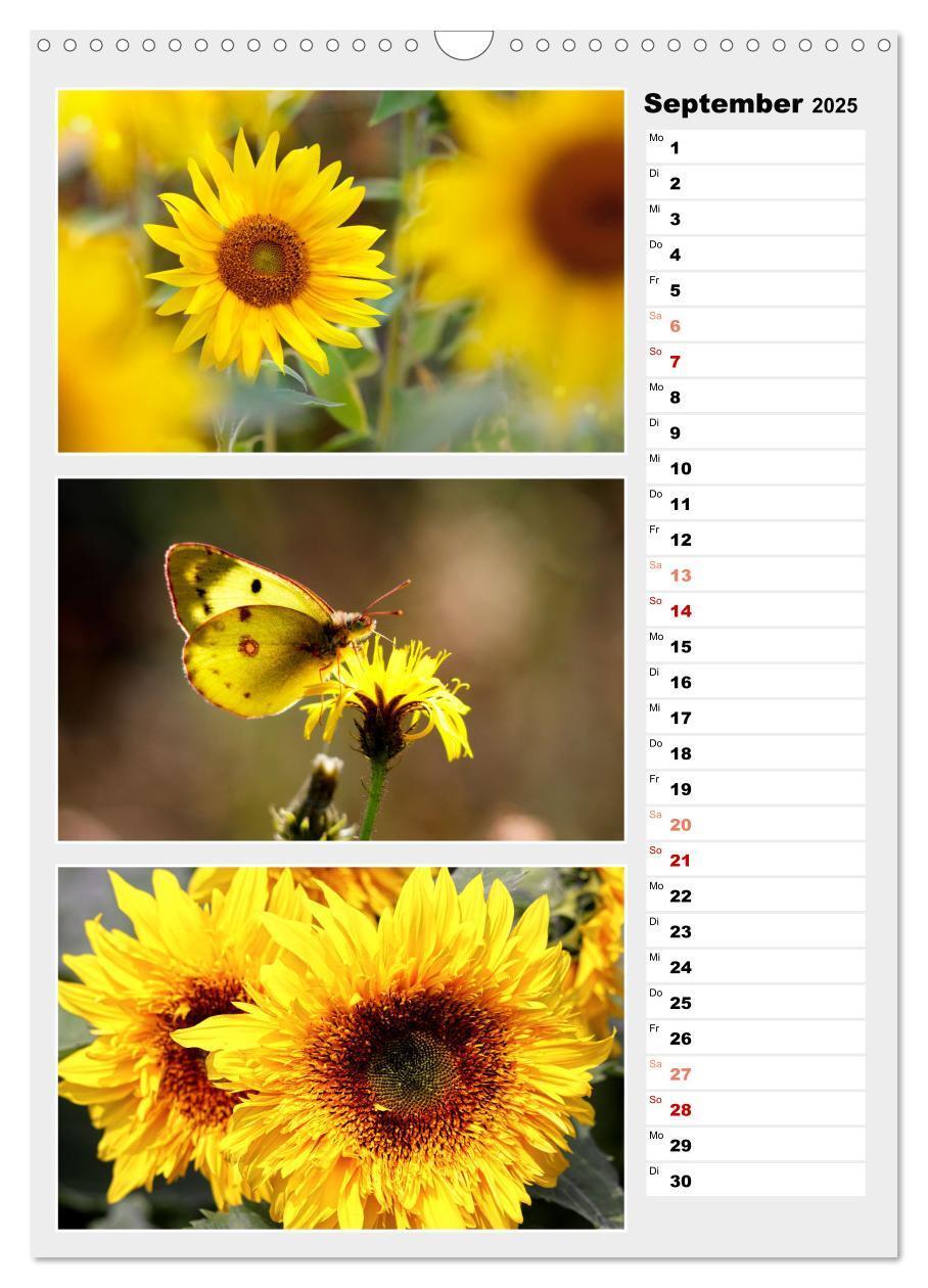 Bild: 9783435889280 | Zauberhafte Farben der Natur (Wandkalender 2025 DIN A3 hoch),...