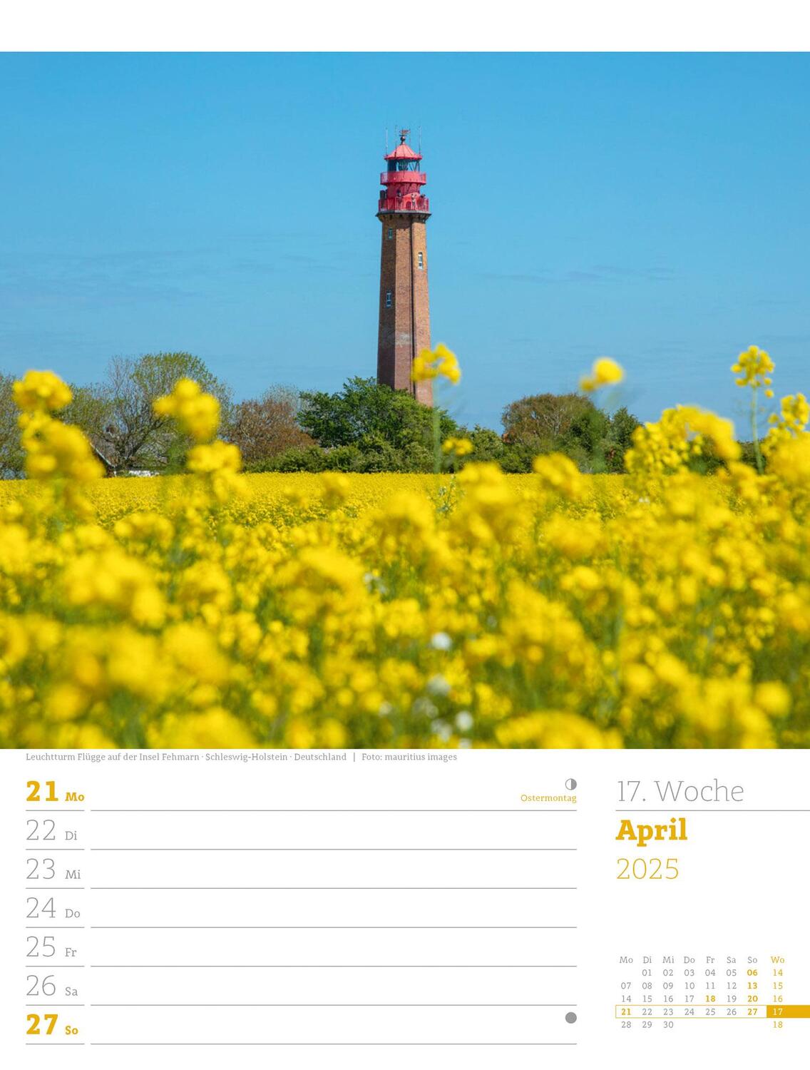 Bild: 9783838435039 | Am Meer - Wochenplaner Kalender 2025 | Ackermann Kunstverlag | 56 S.