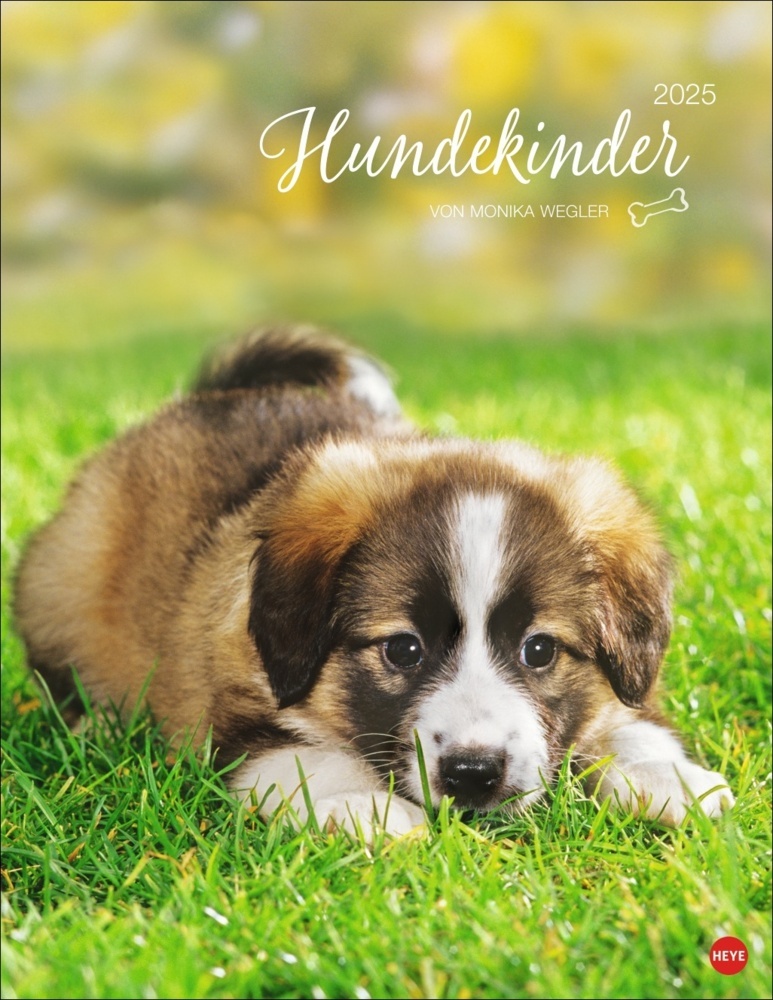 Cover: 9783756405329 | Hundekinder Posterkalender 2025 | Monika Wegler | Kalender | 14 S.