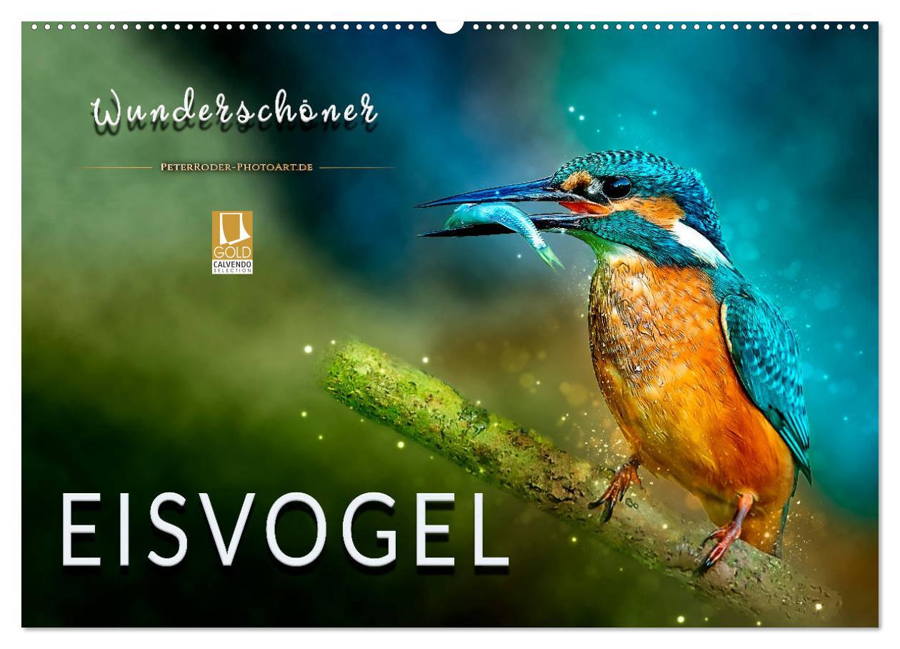 Cover: 9783435333288 | Wunderschöner Eisvogel (Wandkalender 2025 DIN A2 quer), CALVENDO...