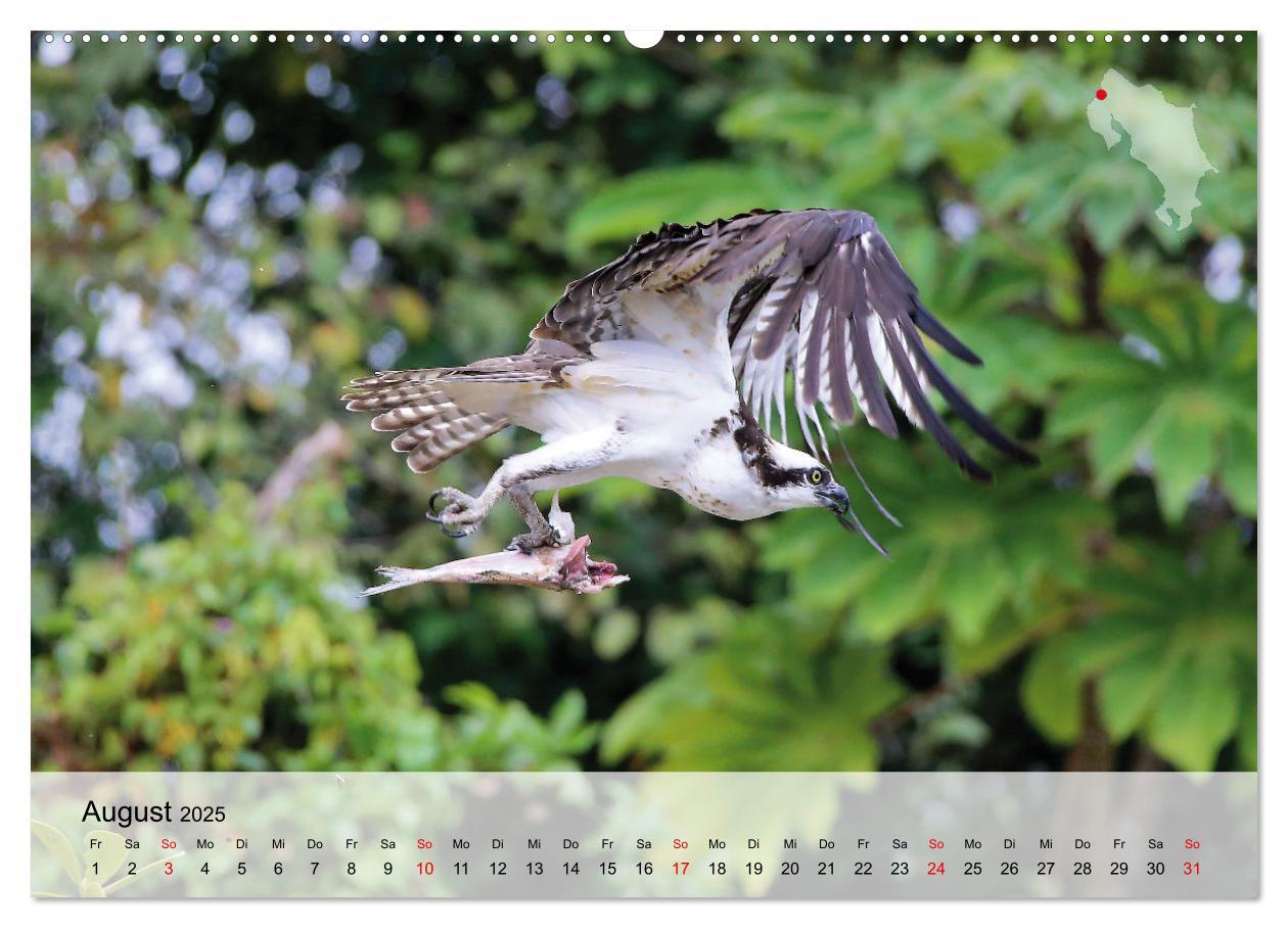 Bild: 9783435017430 | Costa Rica - Panama - Nicaragua (Wandkalender 2025 DIN A2 quer),...