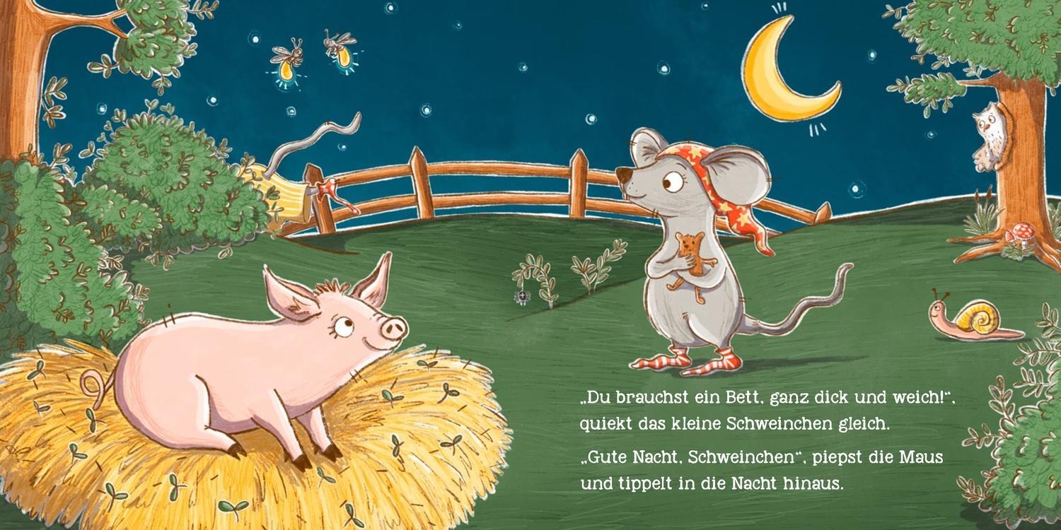 Bild: 9783789113611 | Licht aus, kleine Maus! | Henrike Lippa-Wagenmann | Buch | PAPPE