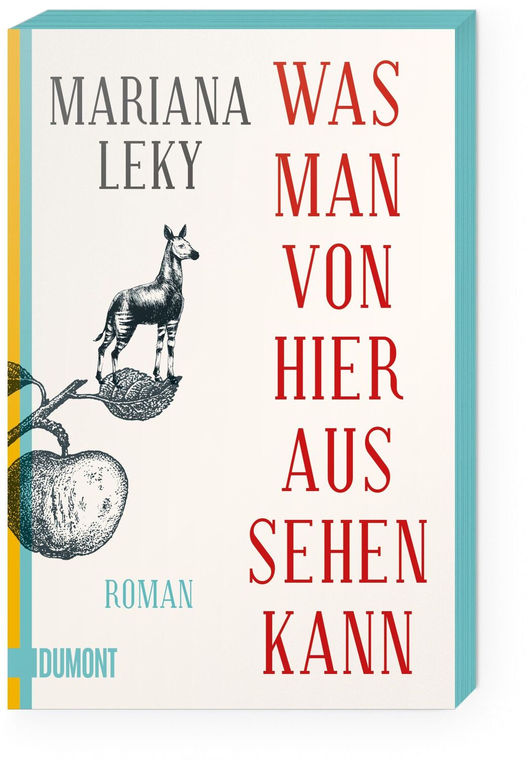 Bild: 9783832164577 | Was man von hier aus sehen kann | Roman | Mariana Leky | Taschenbuch