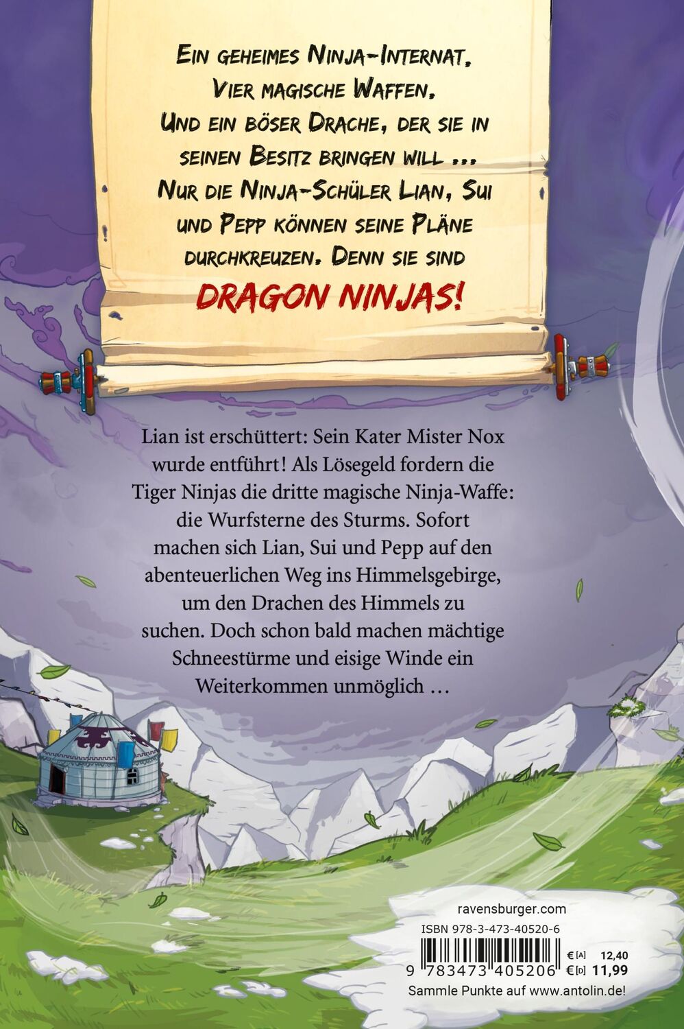 Rückseite: 9783473405206 | Dragon Ninjas, Band 3: Der Drache des Himmels | Michael Petrowitz