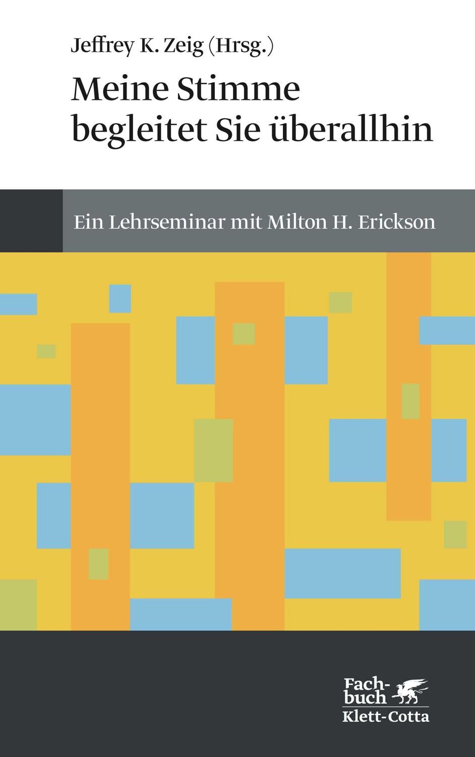 Cover: 9783608963519 | Meine Stimme begleitet Sie überall hin | Jeffrey K Zeig | Taschenbuch