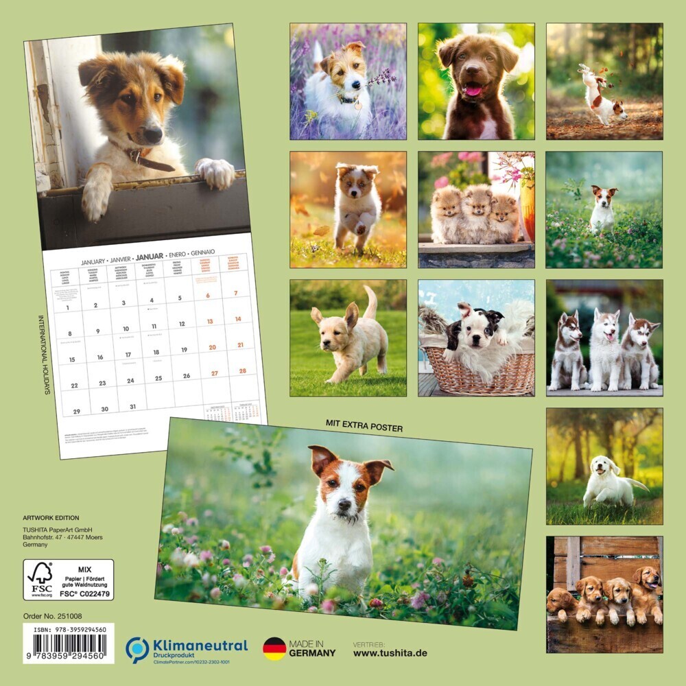 Bild: 9783959294560 | Puppy Dogs/Hundewelpen 2025 | Kalender 2025 | Kalender | Drahtheftung