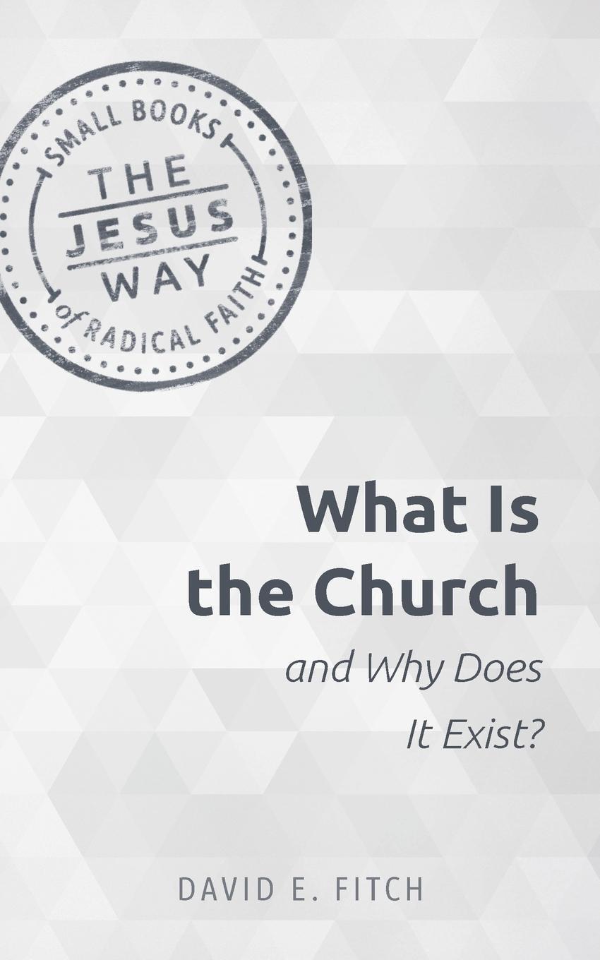 Cover: 9781513805702 | What Is the Church and Why Does It Exist? | David Fitch | Taschenbuch