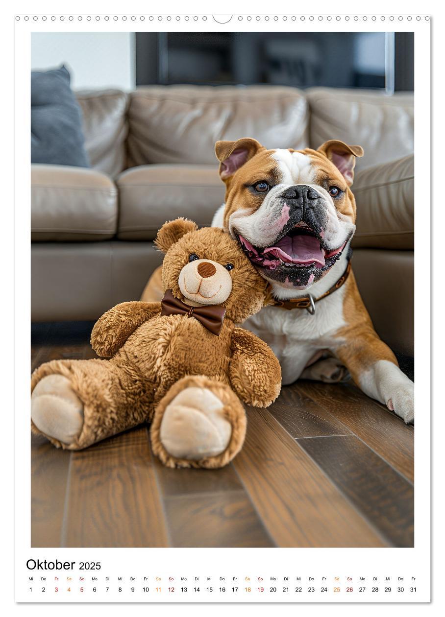 Bild: 9783457175729 | Englische Bulldogge - sanfter Kumpel (Wandkalender 2025 DIN A2...