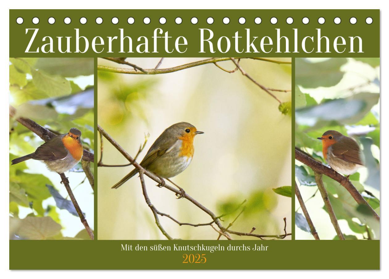 Cover: 9783383915390 | Zauberhafte Rotkehlchen (Tischkalender 2025 DIN A5 quer), CALVENDO...