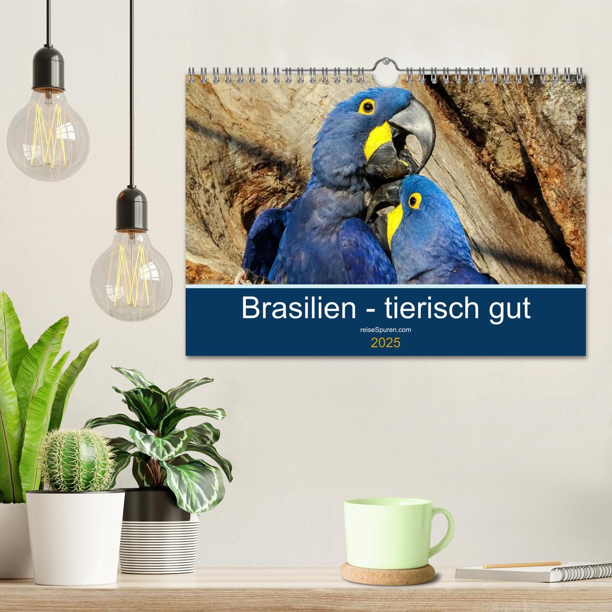 Bild: 9783435687541 | Brasilien tierisch gut 2025 (Wandkalender 2025 DIN A4 quer),...