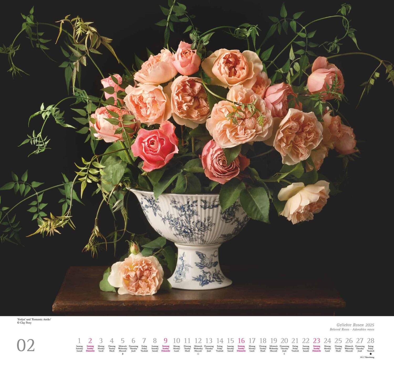 Bild: 4250809653082 | Geliebte Rosen 2025 - DUMONT Wandkalender - mit allen wichtigen...