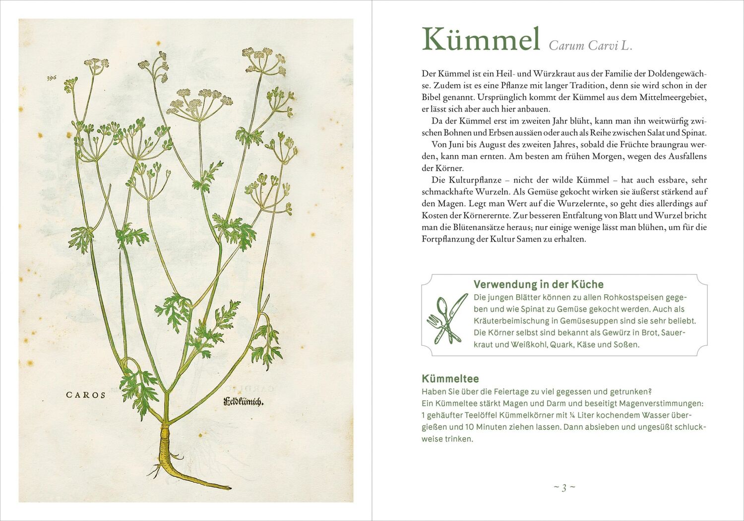 Bild: 9783961572007 | Mit 52 Klosterkräutern durch das Jahr | Christa Weinrich | Taschenbuch