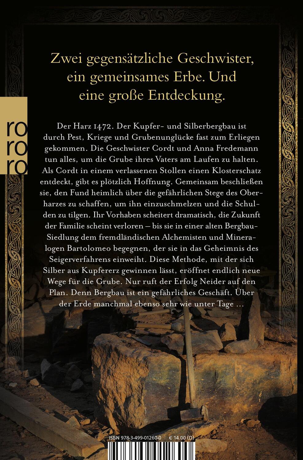 Rückseite: 9783499012600 | Feuer und Erz | Historischer Roman | Hendrik Lambertus | Taschenbuch