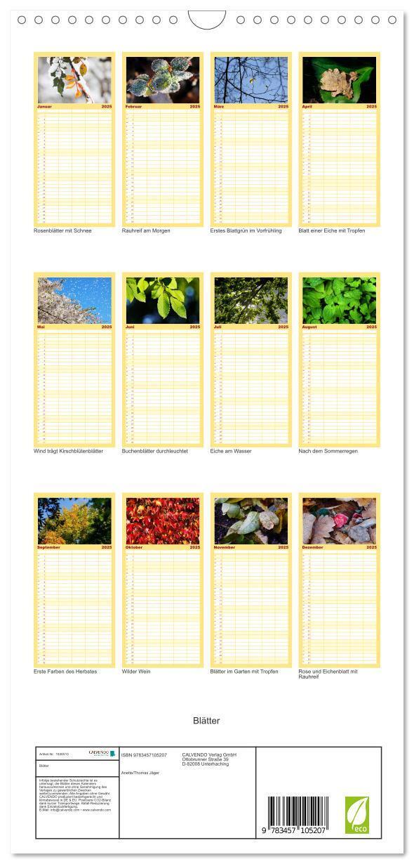 Bild: 9783457105207 | Familienplaner 2025 - Blätter mit 5 Spalten (Wandkalender, 21 x 45...