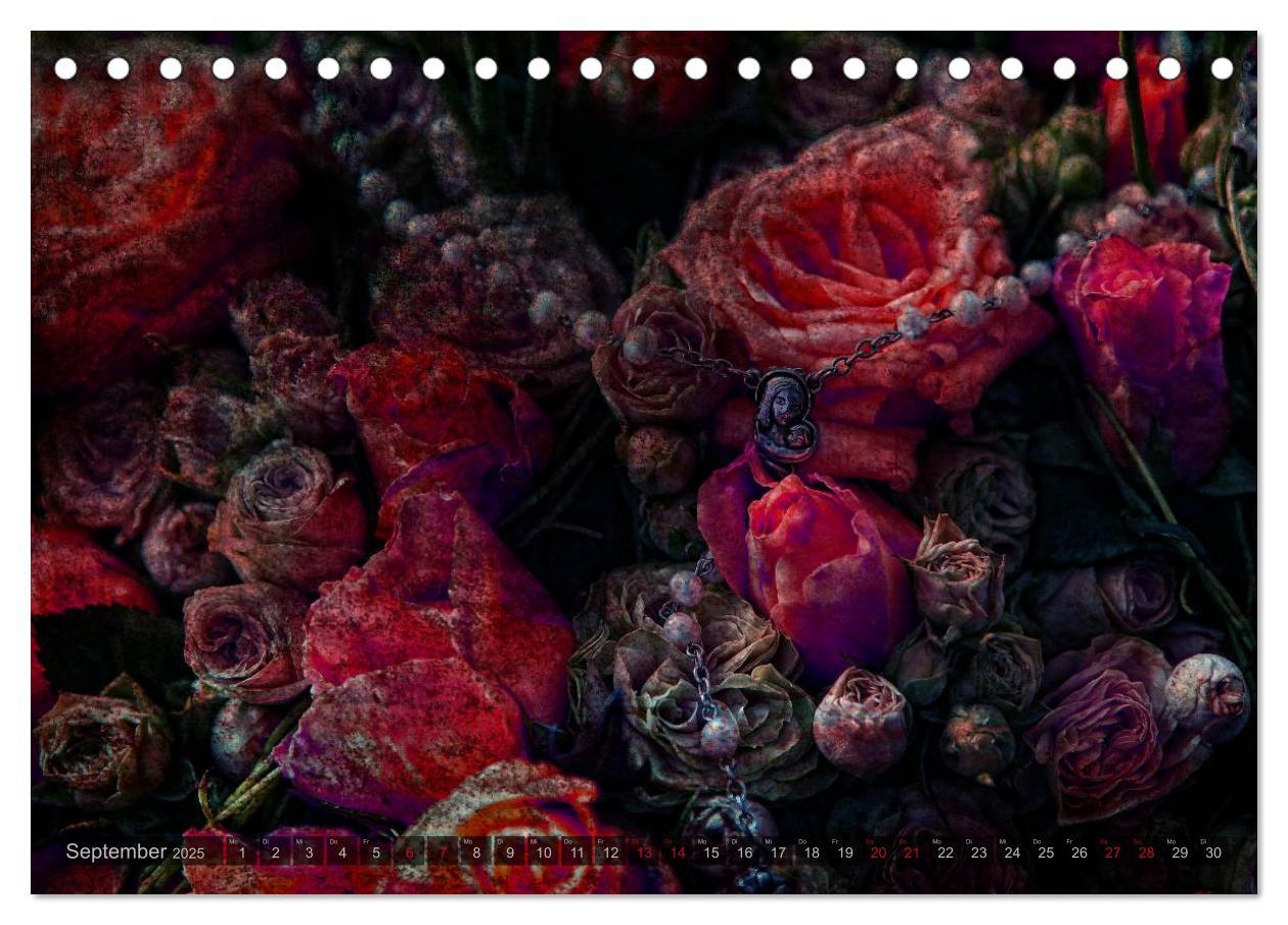 Bild: 9783435659104 | Gothic Rose - Rosen aus dem Garten der Finsternis (Tischkalender...