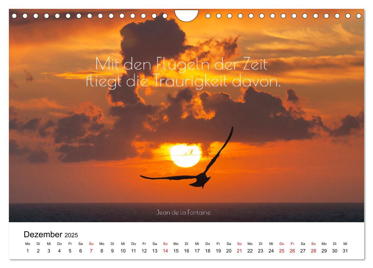 Bild: 9783383971495 | Zitate fürs Leben (Wandkalender 2025 DIN A4 quer), CALVENDO...