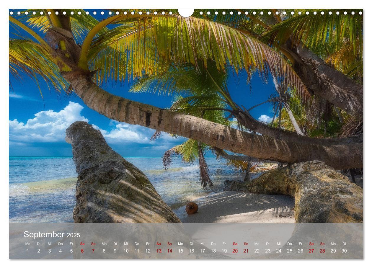 Bild: 9783435022465 | Karibik Traum Isla Saona (Wandkalender 2025 DIN A3 quer), CALVENDO...