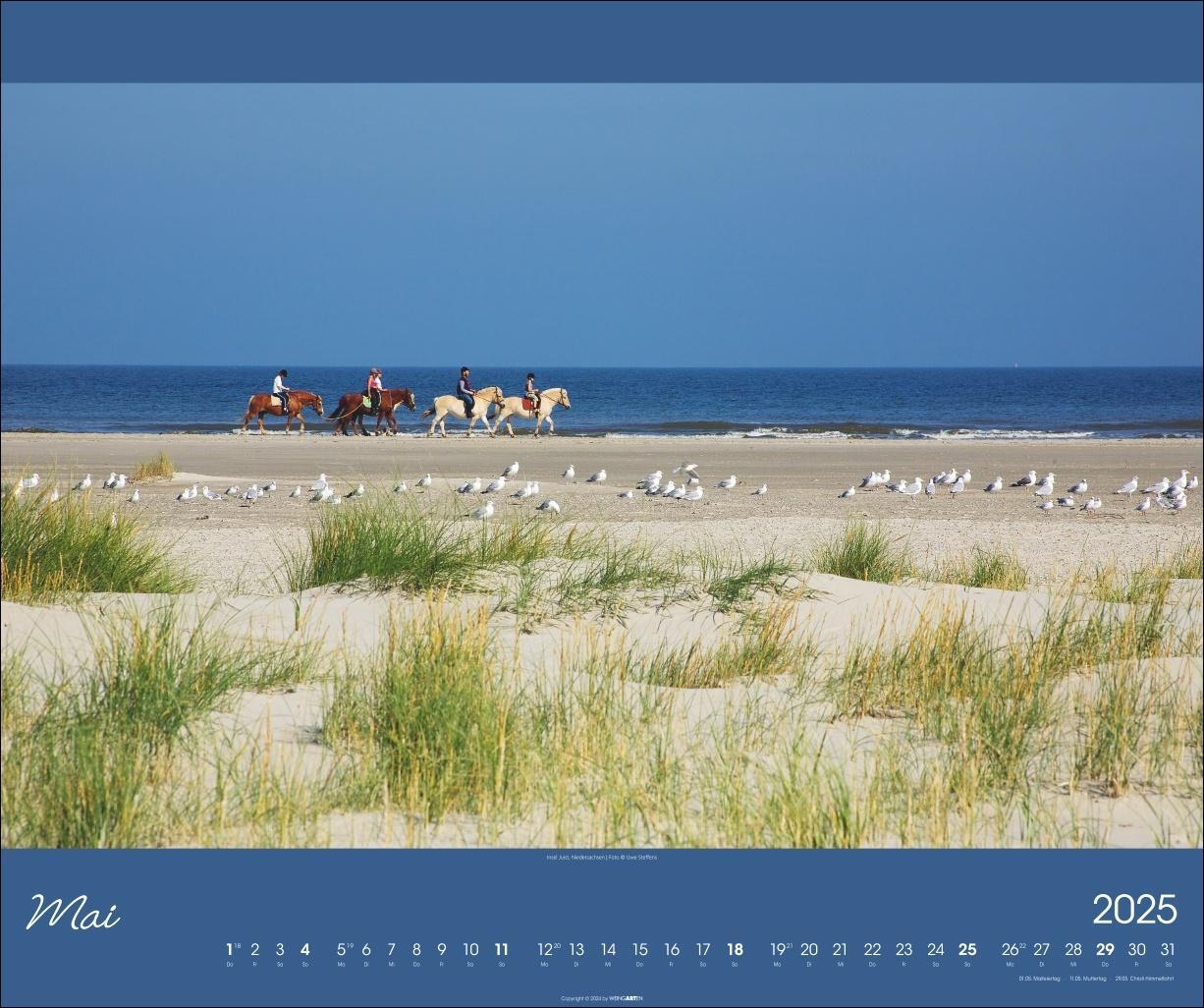 Bild: 9783839900673 | Nordsee Kalender 2025 | Kalender | Spiralbindung | 14 S. | Deutsch