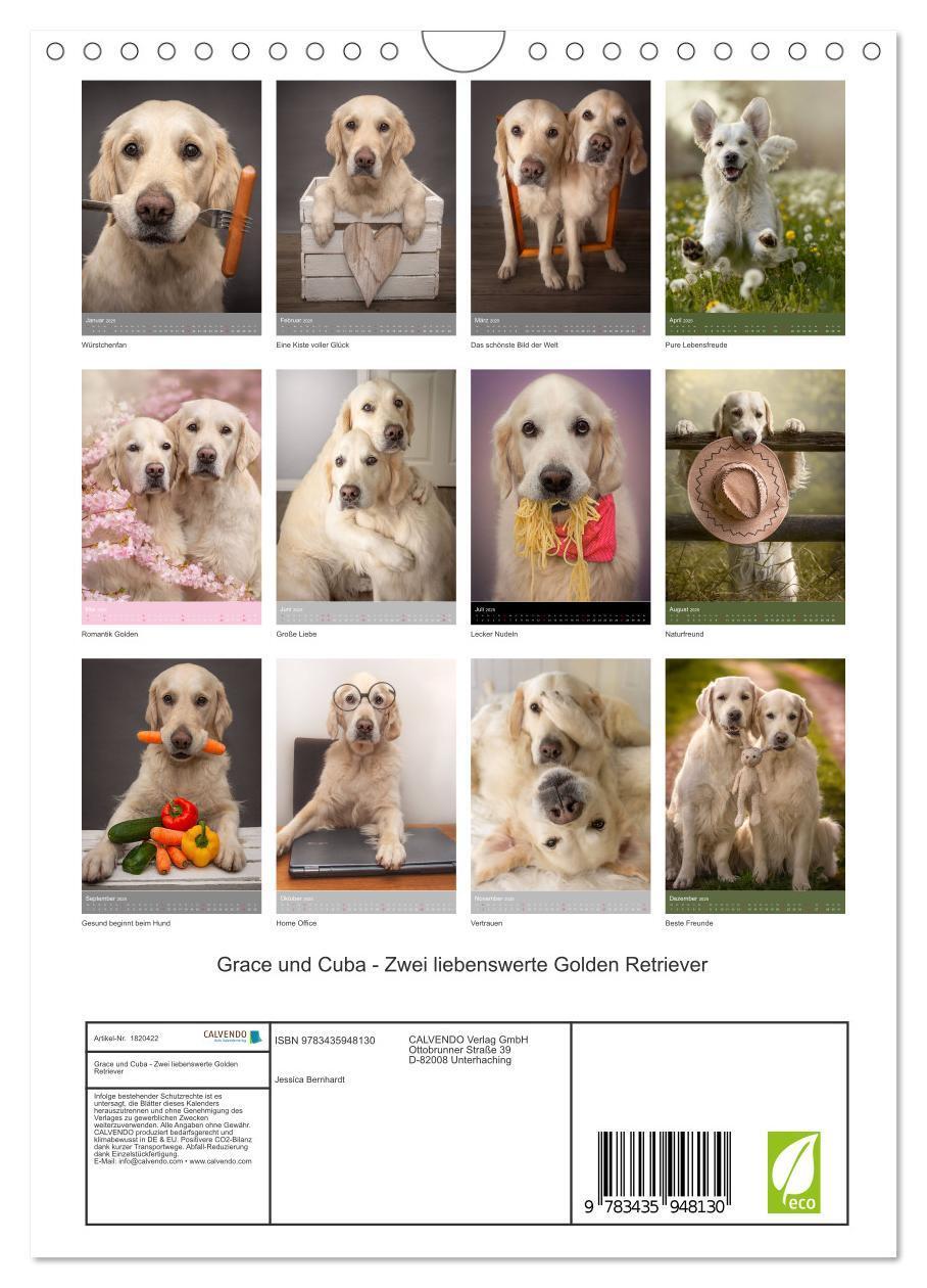 Bild: 9783435948130 | Grace und Cuba - Zwei liebenswerte Golden Retriever (Wandkalender...