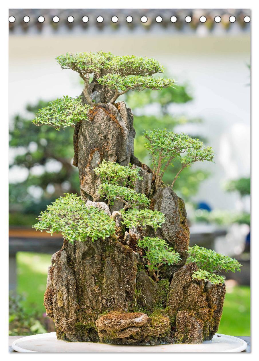 Bild: 9783435852345 | Bonsai: Gartenkunst im Kleinen (Tischkalender 2025 DIN A5 hoch),...