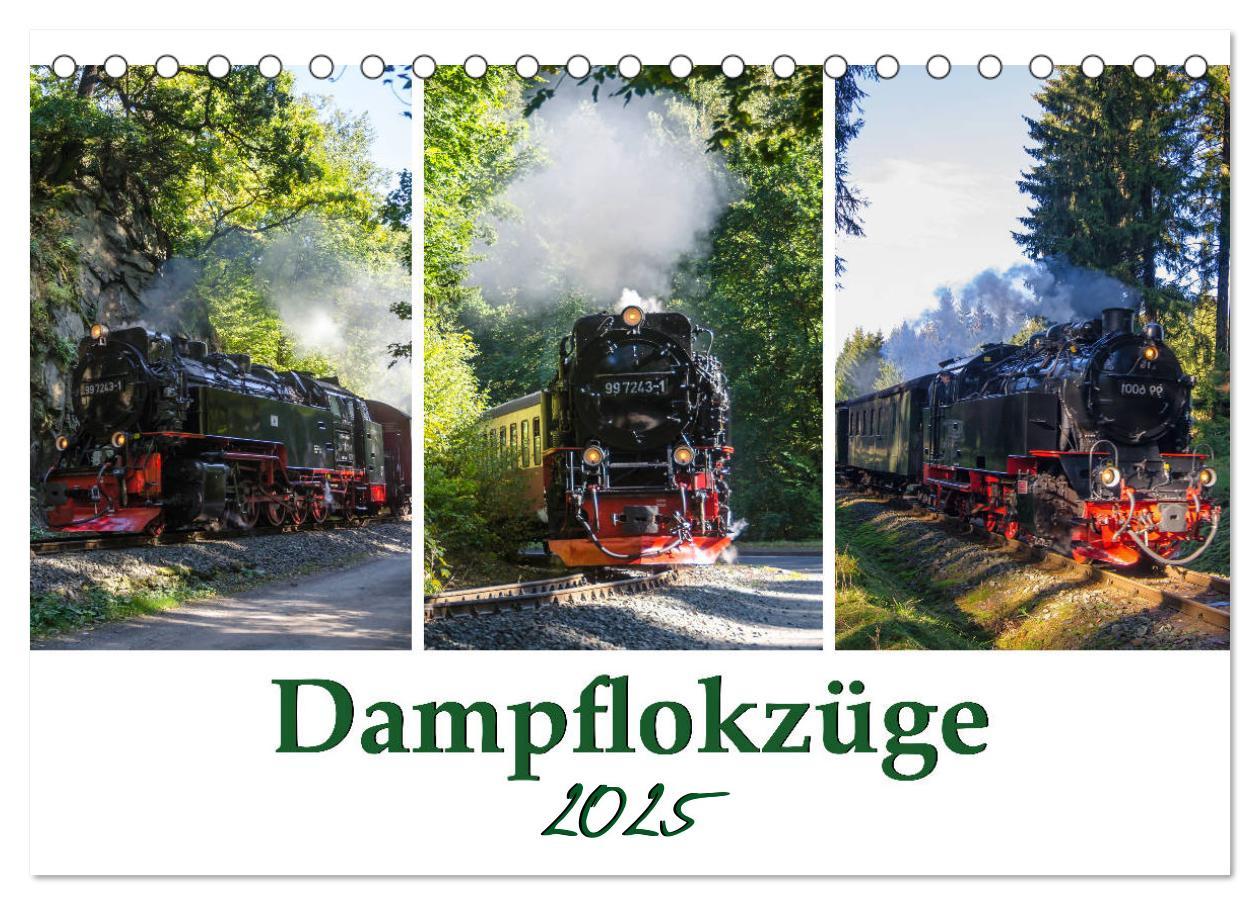 Cover: 9783435215744 | Schmalspurbahnen im Harz (Tischkalender 2025 DIN A5 quer), CALVENDO...