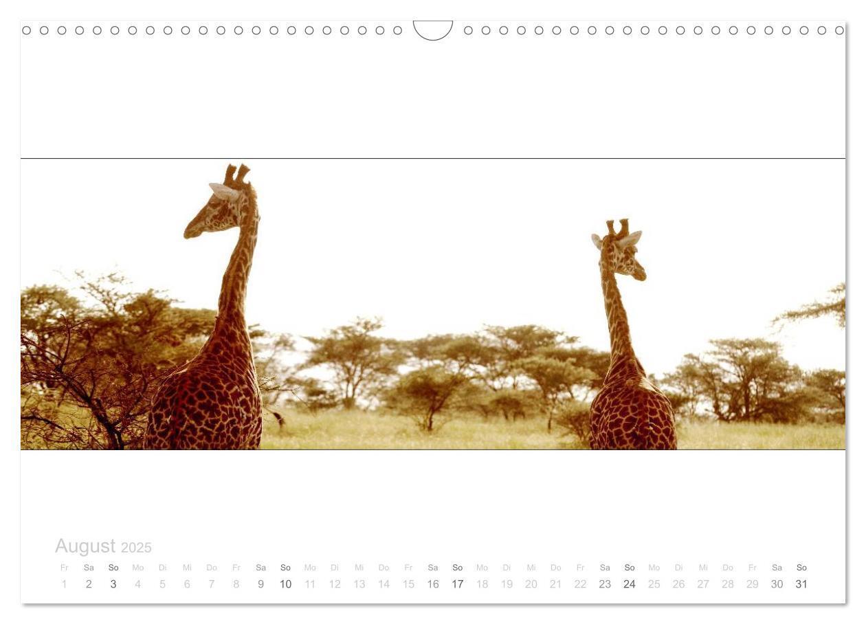 Bild: 9783435687145 | Serengeti Panorama (Wandkalender 2025 DIN A3 quer), CALVENDO...