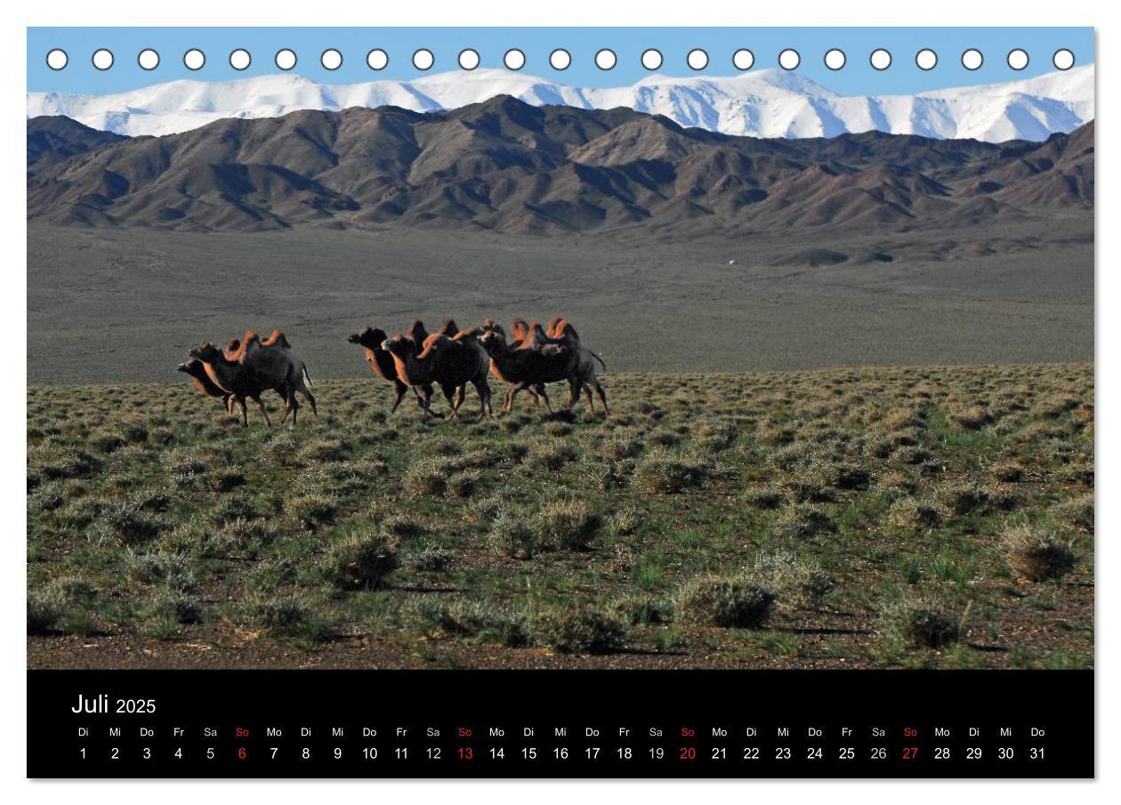 Bild: 9783435718368 | Einsame Mongolei (Tischkalender 2025 DIN A5 quer), CALVENDO...