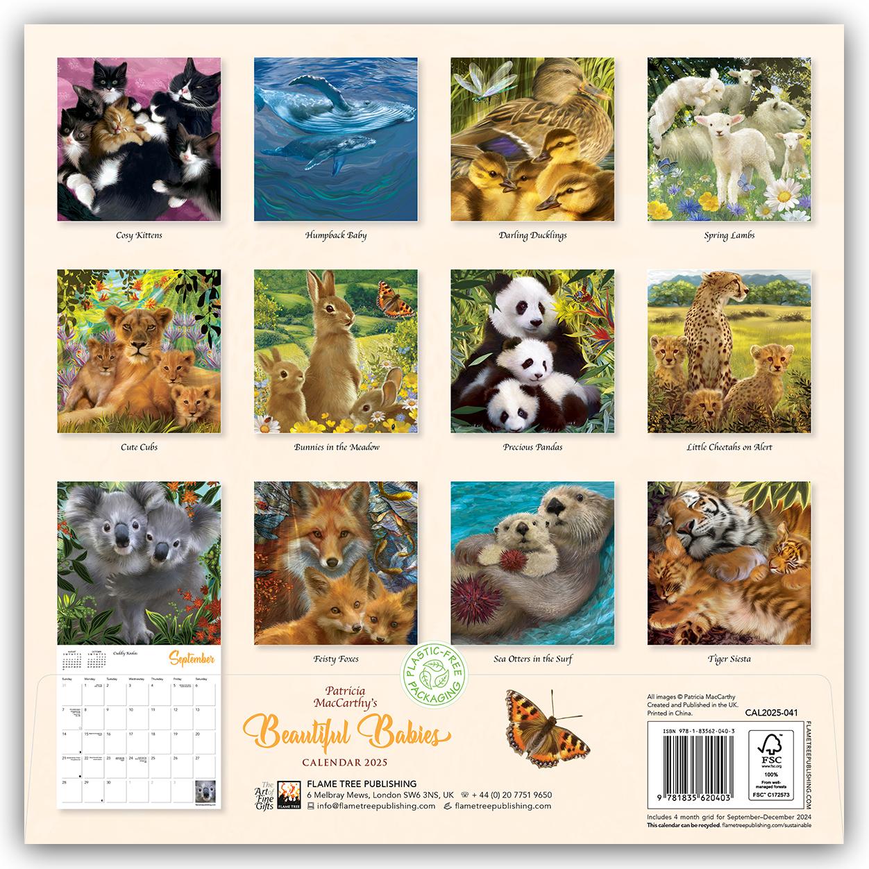 Rückseite: 9781835620403 | Patricia Maccarthy's Beautiful Babies Wall Calendar 2025 (Art...