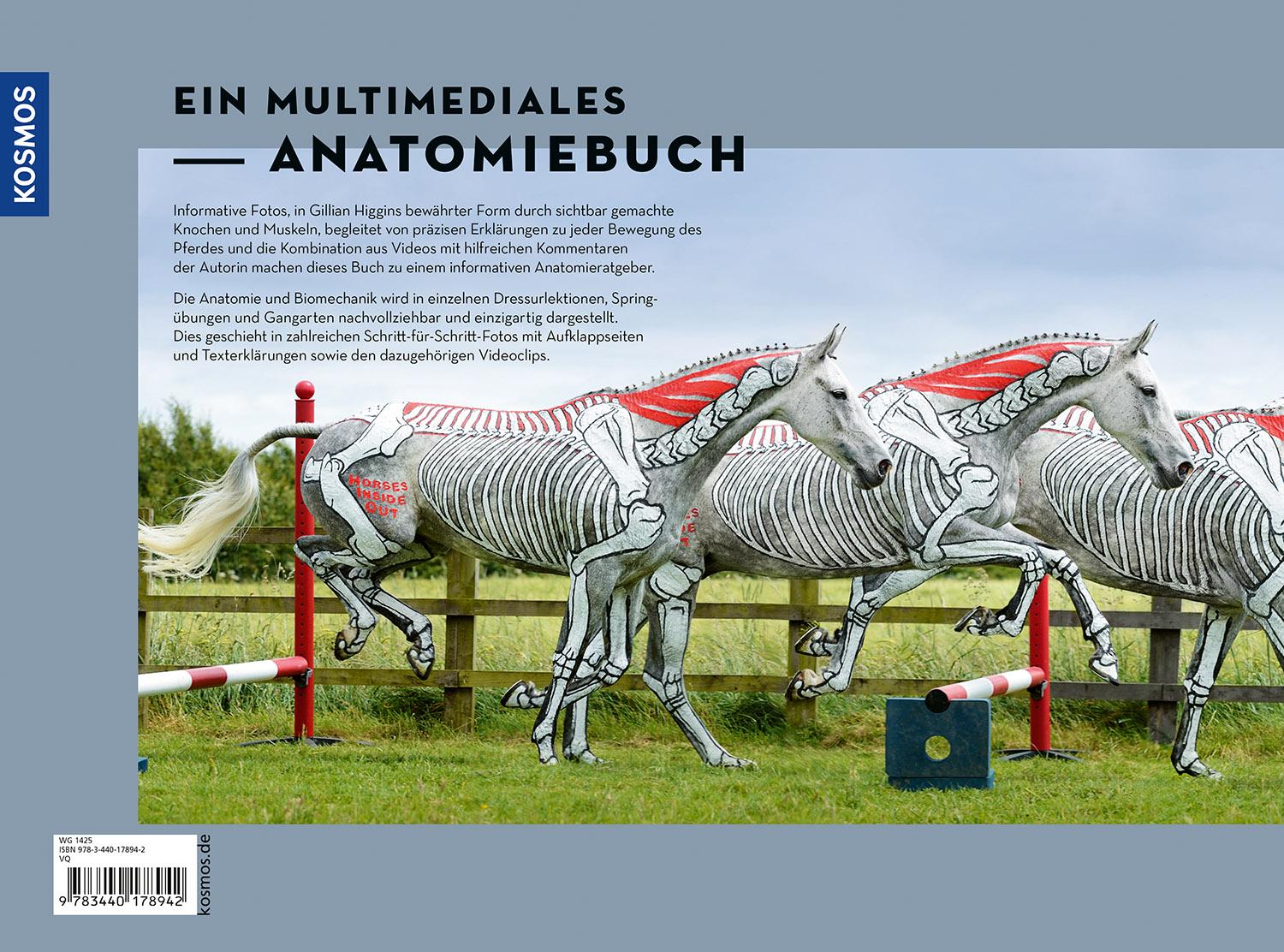 Rückseite: 9783440178942 | Anatomie in Bewegung | Gillian Higgins | Buch | 142 S. | Deutsch